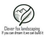 Clever Fox Landscape